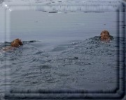 Bild_05 