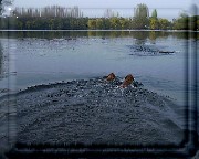 Bild_07 