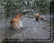 Bild_09 