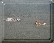Bild_10 