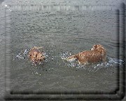 Bild_11 