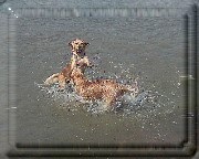 Bild_12 