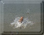 Bild_13 