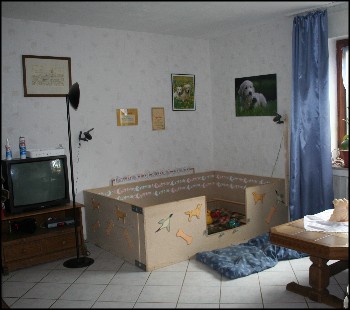 Welpenzimmer