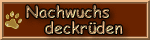 Golden Retriever Deckr�den The heart of golden dreams Moers, NRW, Ruhrgebiet