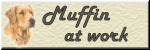 Muffin bei der Retriever Arbeit