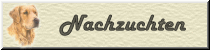 Nachzuchten, Welpen, Karlo vom Rennbaum
