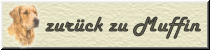 zurück zu Muffin